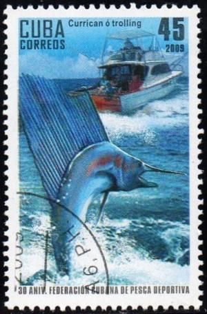 Colnect-1775-937-Blue-Marlin-Makaira-nigricans-Trolling.jpg