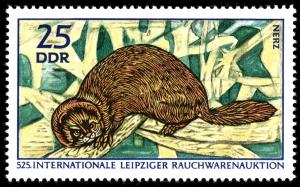 Colnect-1978-238-European-Mink-Mustela-lutreola-.jpg