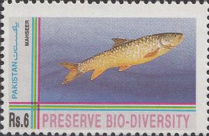 Colnect-2181-756-Golden-Mahseer-Tor-putitora.jpg