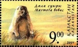 Colnect-2558-344-Boback-Marmot-Marmota-bobak.jpg