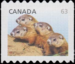 Colnect-2890-398-Woodchuck-Marmota-monax---perf-8%C2%BD.jpg