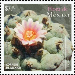 Colnect-3069-636-Mexican-flora.jpg