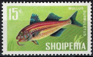 Colnect-3603-876-Striped-Red-Mullet-Mullus-surmuletus-.jpg