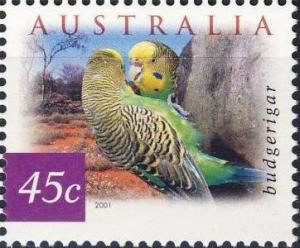 Colnect-510-728-Budgerigar-Melopsittacus-undulatus.jpg