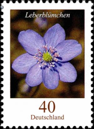 Colnect-5200-231-Leberbl-uuml-mchen-Liverwort-Hepatica-sp.jpg