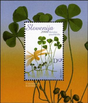 European-Water-Clover---Marsilea-quadrifolia.jpg