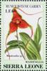 Colnect-4207-950-Masdevallia-sp.jpg