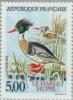 Colnect-146-149-Red-breasted-Merganser-Mergus-serrator.jpg