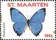 Colnect-3635-102-Morpho-portis.jpg