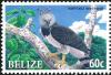 Colnect-4027-750-Harpy-Eagle-nbsp--nbsp--nbsp--nbsp-Harpia-harpyja.jpg