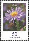 Colnect-4295-622-Aster-novae---Autumn-Aster.jpg