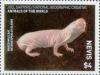 Colnect-5163-908-Naked-molerat.jpg