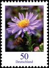 Colnect-5200-226-Aster-novae---Autumn-Aster.jpg