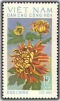 Colnect-1625-654-Cuc-Nau-Chrysanthemum.jpg