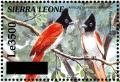 Colnect-3561-482-African-Paradise-Flycatcher-nbsp--nbsp--nbsp--nbsp-Terpsiphone-viridis.jpg