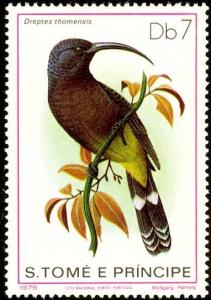 Colnect-3684-066-Giant-Sunbird-nbsp--nbsp--nbsp--nbsp-Dreptes-thomensis.jpg