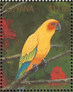 Colnect-3516-443-Sun-Parakeet-nbsp-Aratinga-solstitialis.jpg