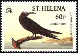 Colnect-1661-823-Brown-Noddy-Anous-stolidus.jpg