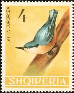 Colnect-1976-265-Eurasian-Nuthatch-Sitta-europaea.jpg