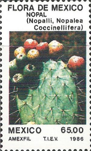 Colnect-2928-141-Nopal---Nopalea-coccinellifera.jpg