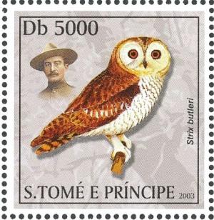 Colnect-3685-945-Desert-Owl-nbsp--nbsp--nbsp--nbsp-Strix-hadorami.jpg