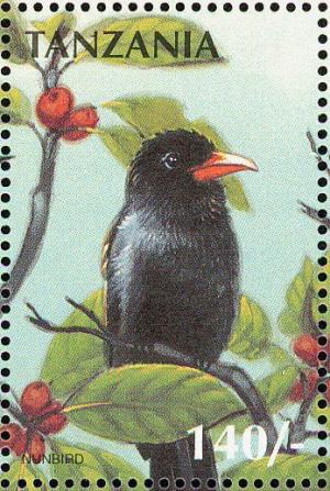 Colnect-3746-305-Black-Nunbird-Monasa-atra.jpg