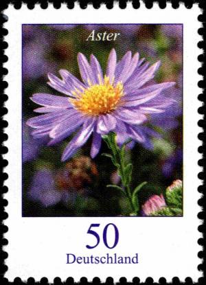 Colnect-5200-226-Aster-novae---Autumn-Aster.jpg