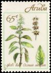 Colnect-3749-481-Ocimum-sanctum.jpg