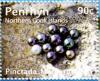 Colnect-4018-370-Black-lip-pearl-oyster-Pinctada-margaritifera.jpg