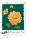 Colnect-4823-875-Orange-Dahlia.jpg