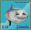 Colnect-5727-072-Ocean-Sunfish.jpg