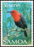 Colnect-1766-834-Cardinal-Myzomela-Myzomela-cardinalis.jpg