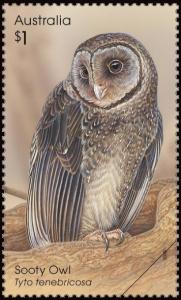 Colnect-3427-889-Sooty-Owl-Tyto-tenebricosa.jpg