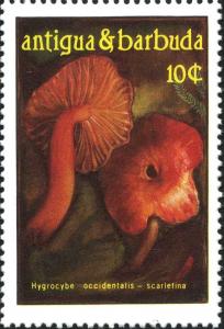 Colnect-4466-632-Hygrocybe-occidentalis-scarletina.jpg