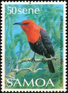 Colnect-1766-834-Cardinal-Myzomela-Myzomela-cardinalis.jpg