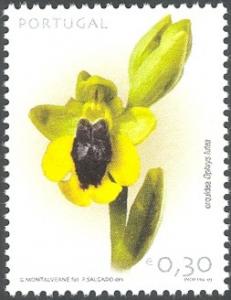 Colnect-568-029-Ophrys-lutea.jpg