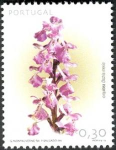 Colnect-568-016-Orchis-morio.jpg