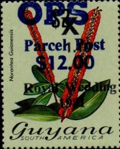 Colnect-4940-048-12-on-110-on-2-Norantea-guianensis.jpg