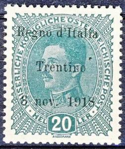 Colnect-1697-742-Italian-Occupation-of-Trentin.jpg