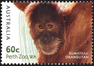 Colnect-1554-585-Sumatran-Orangutan-Pongo-abelii.jpg