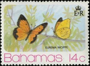 Colnect-2562-217-Sleepy-Orange-Eurema-nicippe.jpg