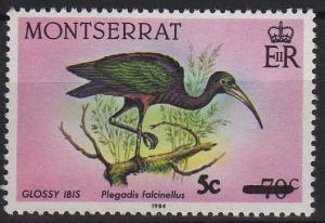 Colnect-4205-158-5c-on-70-Glossy-Ibis.jpg