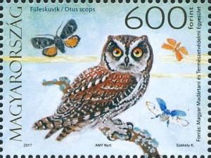 Colnect-4262-415-Boreal-Owl-Aegolius-funereus.jpg