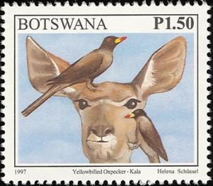 Colnect-5250-722-Yellow-billed-Oxpecker-Buphagus-africanus.jpg