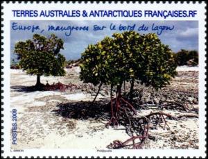 Colnect-889-481-Mangroves-on-the-Edge-of-a-Lagoon.jpg