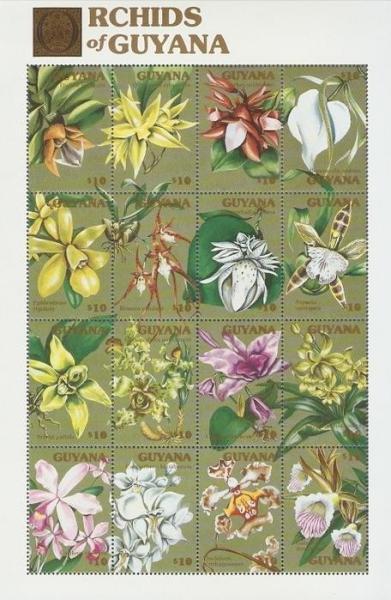 Colnect-1667-374-Orchids-sheet.jpg