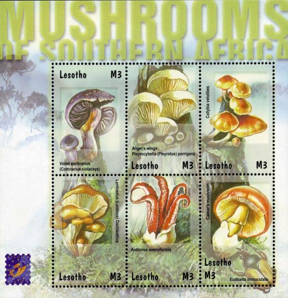 Colnect-1736-232-Mushrooms-of-Southern-Africa-sheet.jpg