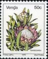 Colnect-1519-694-Protea-caffra.jpg