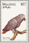 Colnect-1631-939-African-Grey-Parrot-Psittacus-erithacus.jpg