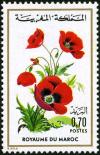 Colnect-1894-955-Papaver-rhoeas.jpg